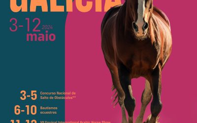 XVII Equigal Salón Internacional del Caballo de Galicia