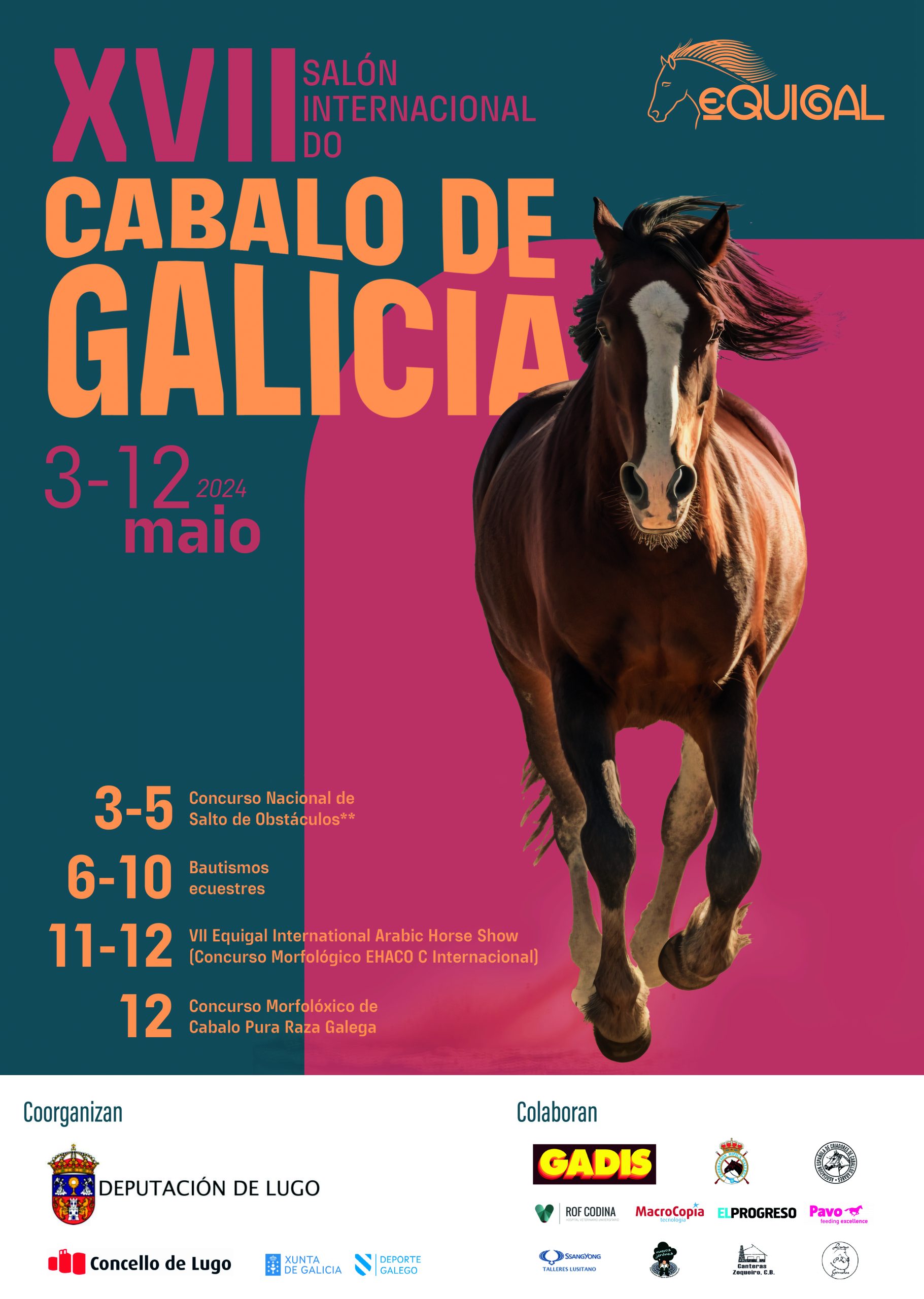 XVII Equigal Salón Internacional del Caballo de Galicia