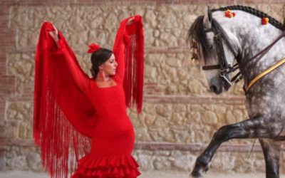 Espectáculo Ecuestre en Caballerizas Reales